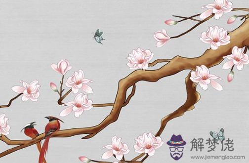 屬牛人虎年運勢2022 生肖牛2022年金玉滿堂