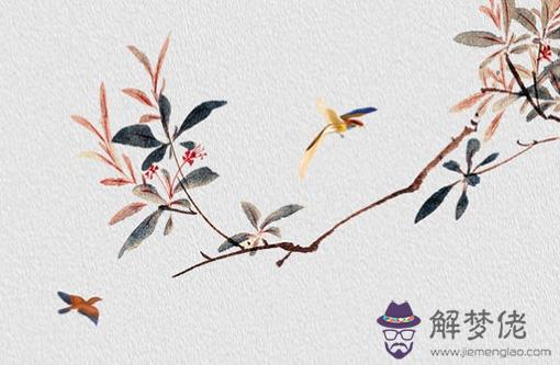 本命年的衣服什麼時候開始穿 立春穿紅提運氣