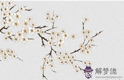 本命年的衣服什麼時候開始穿 立春穿紅提運氣