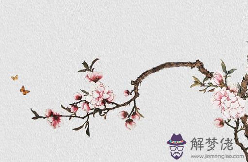 本命年倒霉還是前一年倒霉 前一年抓住機遇本命年萬事順利