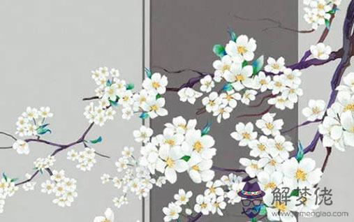 1981年男屬雞的姻緣 家庭美滿甜甜蜜蜜