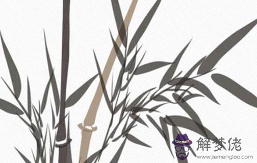 92年女猴哪年結婚最好 28歲結婚可助運勢增長