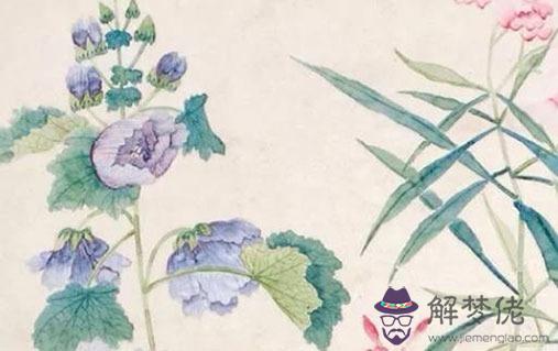 皮夾顏色哪個招財 錢包放什麼東西旺財
