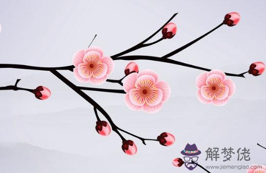 屬什麼生肖的女人長得最好看