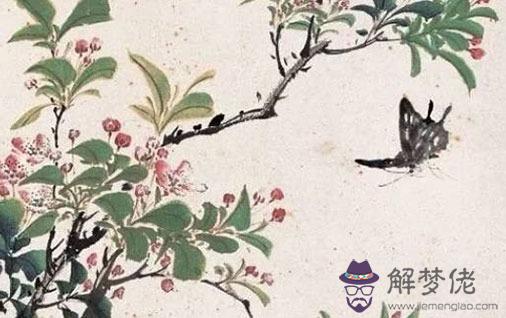 屬虎一生被什麼人所害 如何化解