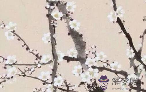 2022虎年是什麼命年 2022虎年運勢及運程