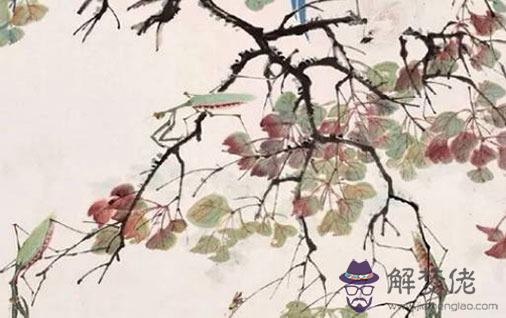屬豬人一輩子的克星 死對頭是生肖龍