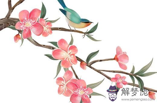 1986年屬虎命運好不好 為人驕傲天生聰慧