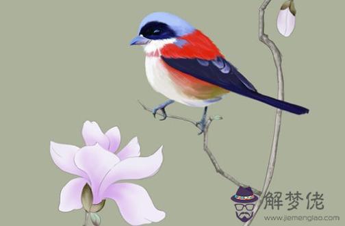 屬蛇幾月出生大富大貴 肖蛇者今年桃花朵朵