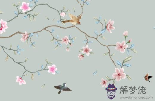 屬虎人的命運和婚姻 生肖虎人婚姻觀念解析