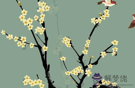 屬虎人的命運和婚姻 生肖虎人婚姻觀念解析