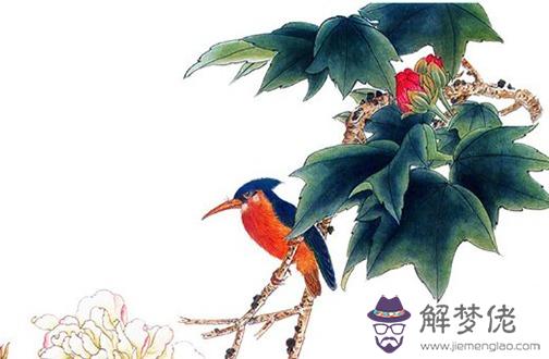 本命年金飾買什麼 金飾戴左手還是右手