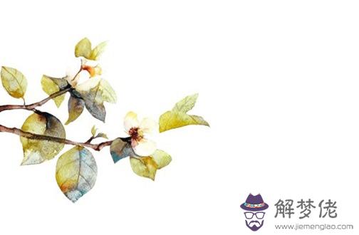 本命年見白事好不好 本命年參加白事處理辦法