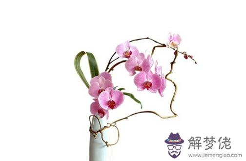 本命年見白事好不好 本命年參加白事處理辦法