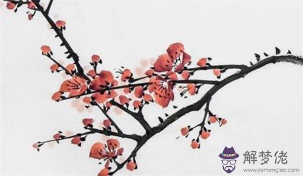 右眉毛一根特別長運勢如何 不同眉毛的寓意