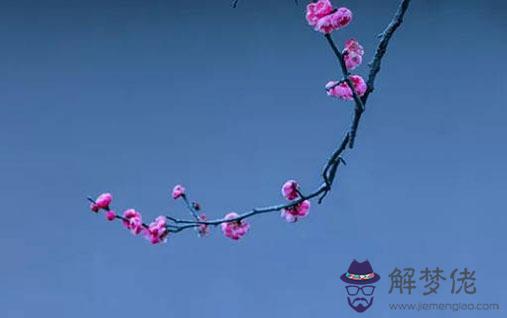 80年屬猴二次婚姻在幾歲 生肖猴配對滿分對象