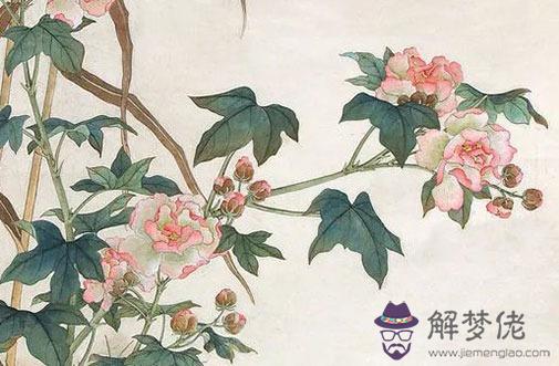 98年屬虎女的愛情運勢 桃花運旺找屬蛇的好