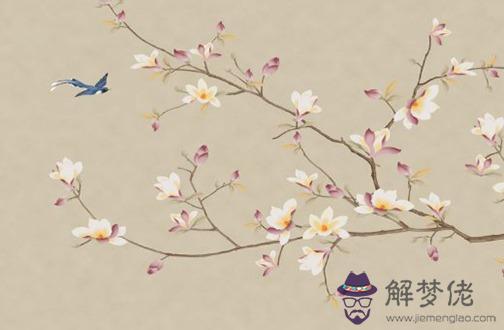 為什麼一般本命年財運不好 本命年后投資運勢佳