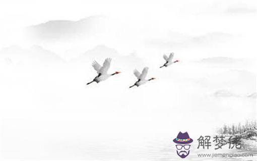 2022年運程生肖鼠 步步高升腳踏實地