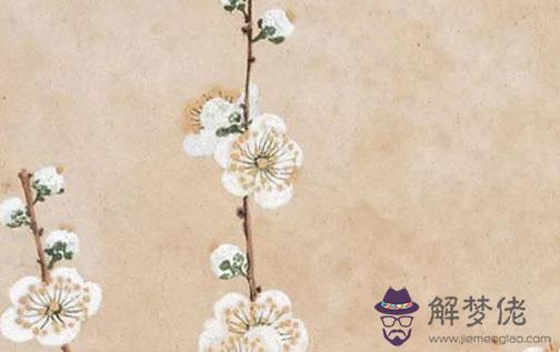 87年屬兔人三大坎 財富桃花事業需注意