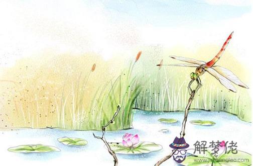 虎年本命年送什麼好 本命年送紅衣驅邪避災