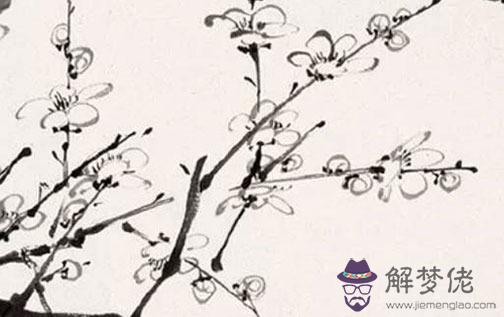 2022年屬蛇人要離婚 小打小鬧不傷情