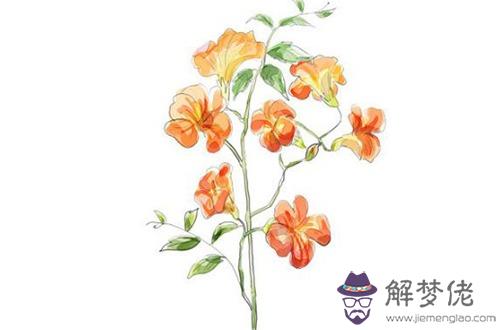 屬虎女人佩戴什麼金飾 金項鏈讓屬虎女你金貴高雅