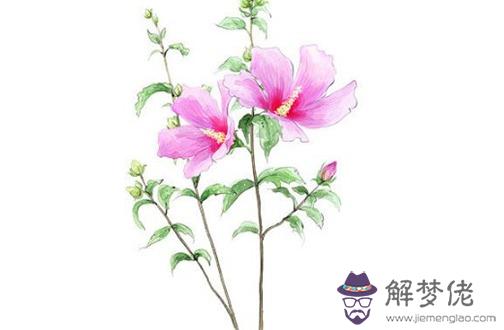 86年屬虎佩戴什麼轉運 銀戒指讓屬虎人好運連連