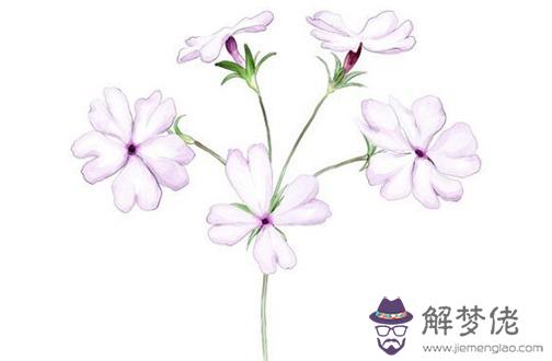 86年屬虎佩戴什麼轉運 銀戒指讓屬虎人好運連連