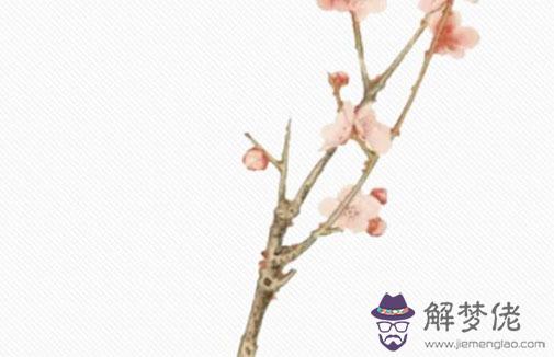 2022年4月份生肖狗事業運發展如何 有望升職加薪嗎