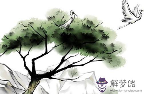 86年屬虎五行缺啥帶什麼旺 五行缺金戴白水晶轉運