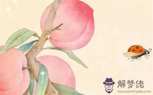 2022年農歷三月十四出生的孩子好嗎 是什麼命