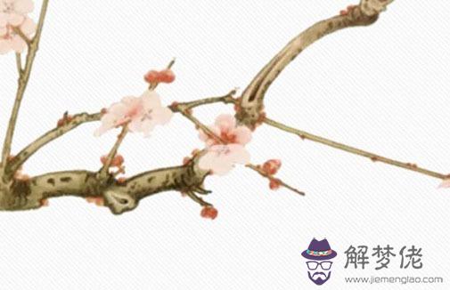 2022年4月份生肖屬龍的事業運勢好嗎 能不能加薪