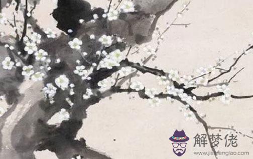 七仙女轉世的人命好嗎 壽命通常很長