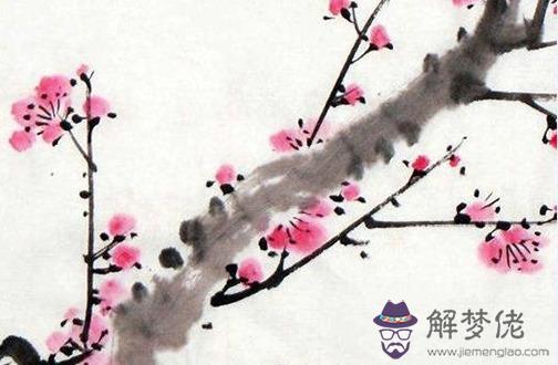 屬虎女佩戴什麼旺財 寶石項鏈讓屬虎女聚財