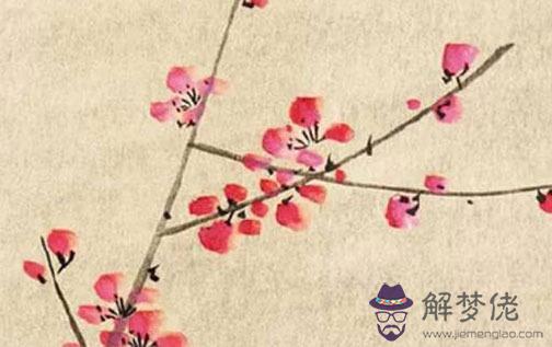 69年屬雞53歲命中注定 財運能力穩定