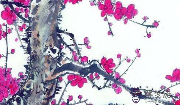 甲寅日柱和癸卯日柱婚配 性格溫和稍有坎坷