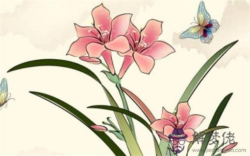 2022年4月26號出生的孩子 命帶福氣衣食無憂