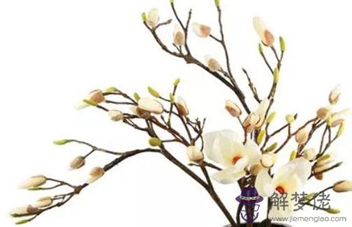 前世是天上的小仙女 神仙常見的特征有哪些