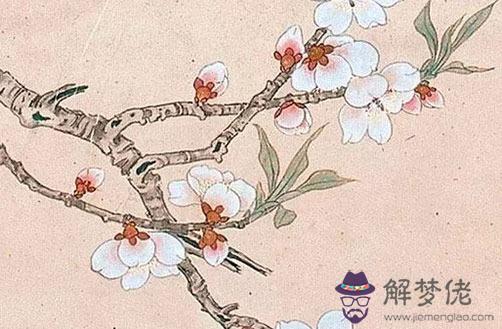 2022生肖豬5月份的愛情運勢大盤點 感情運勢欠佳