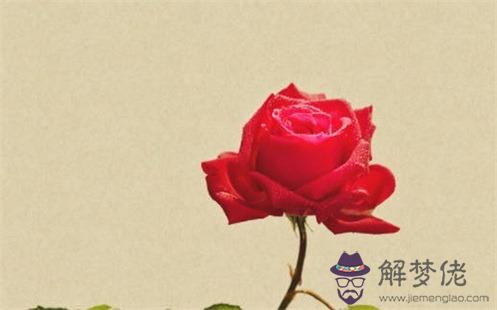 2022年農歷四月初四出生的孩子好嗎 是什麼命