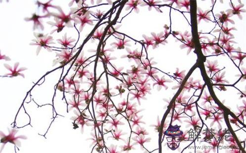 2022年農歷四月初六出生的孩子好嗎 五行缺什麼