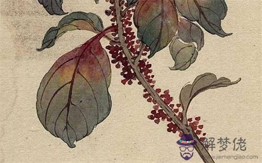今年小滿出生的孩子好嗎 2022年小滿這天出生的屬虎人命理分析