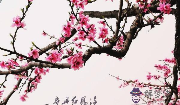 日柱和流年伏吟會發生什麼 四柱伏吟代表什麼