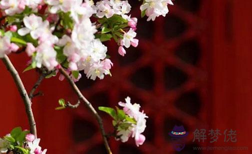 八字精批：正印偏印同現定有兩母代表什麼