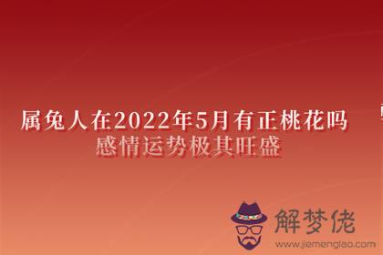 屬兔人在2022年5月有正桃花嗎 感情運勢極其旺盛