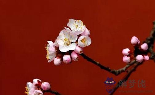 八字年干正印坐劫財好不好 口才優秀晚來榮華