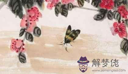 2022年屬虎的破月是幾月 十月出生破月運勢稍有波折