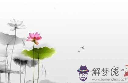 屬馬的女人今年財運怎麼樣 在2022虎年財運亨通事業有成