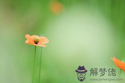2022虎年9月18日出生的寶寶什麼命 根據五行取名字怎麼取